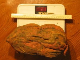 Extreme Composting - Homesteading Questions