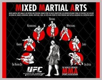 mma Pictures, Images and Photos