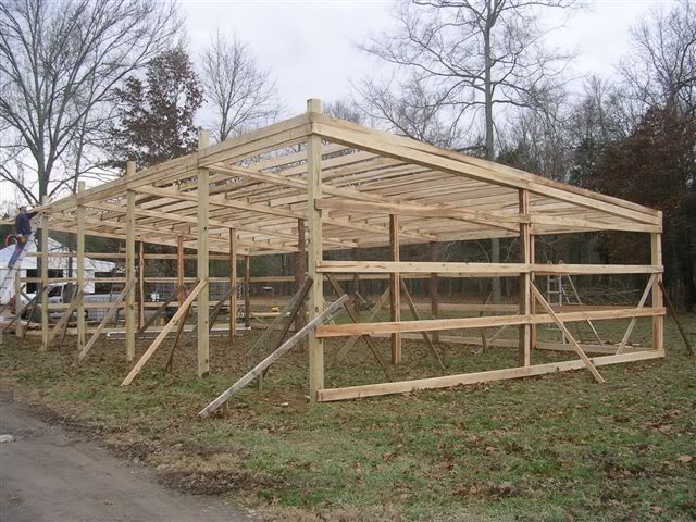 How to build a cheap cattle shed  easy build