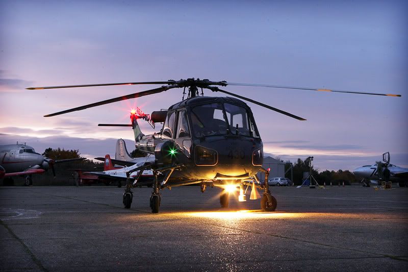 IMAGE: http://i91.photobucket.com/albums/k287/dinof/9O1O5356www.jpg