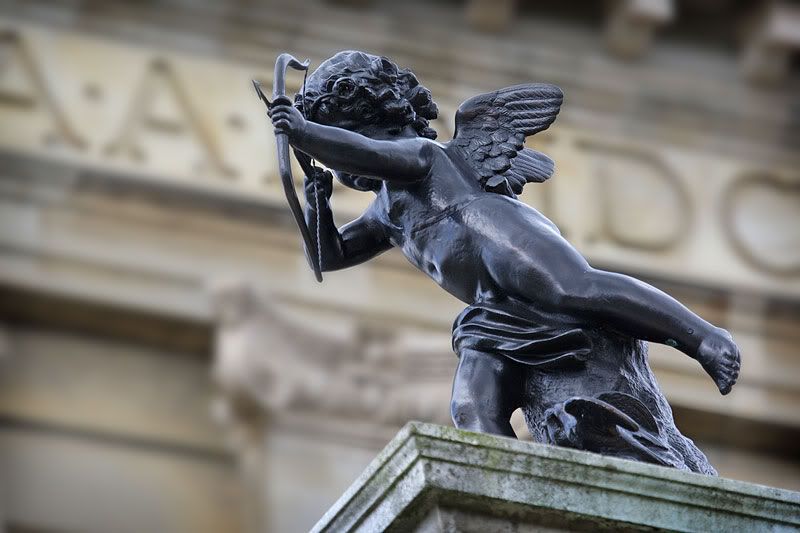 IMAGE: http://i91.photobucket.com/albums/k287/dinof/9O1O7724www.jpg