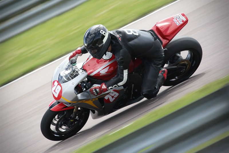 IMAGE: http://i91.photobucket.com/albums/k287/dinof/9O1O8545w.jpg