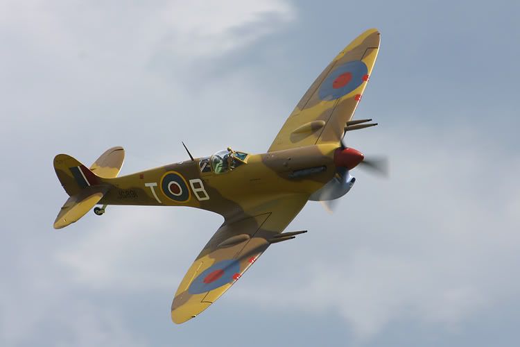 IMAGE: http://i91.photobucket.com/albums/k287/dinof/IMG_00851.jpg