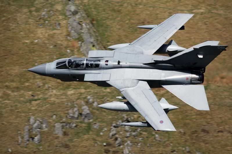 IMAGE: http://i91.photobucket.com/albums/k287/dinof/Photobucket%20Desktop%20-%20DEANFELTIMO-PC/9O1O7650www_zps40c76c3d.jpg