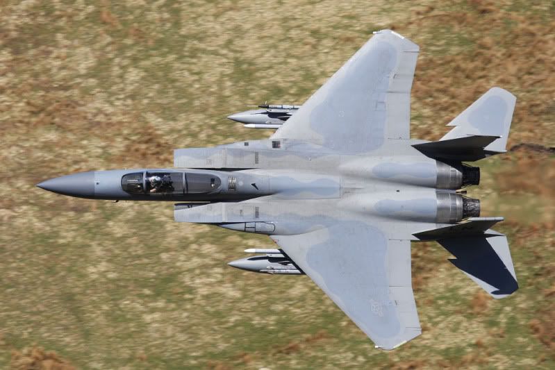 IMAGE: http://i91.photobucket.com/albums/k287/dinof/Photobucket%20Desktop%20-%20DEANFELTIMO-PC/9O1O8099www_zpse4ecf7d1.jpg