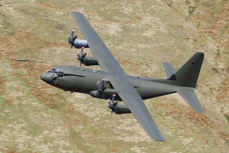 IMAGE: http://i91.photobucket.com/albums/k287/dinof/Photobucket%20Desktop%20-%20DEANFELTIMO-PC/9O1O8130www_zps667c90ad.jpg