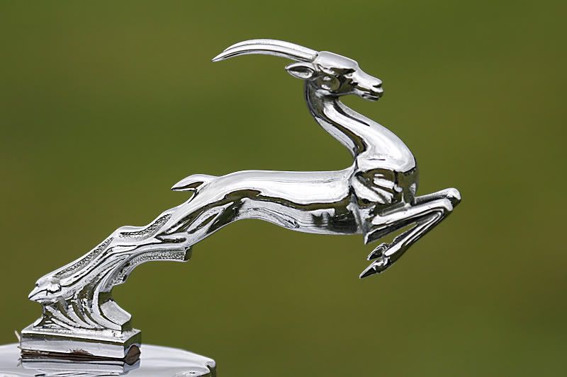 IMAGE: http://i91.photobucket.com/albums/k287/dinof/badge1.jpg