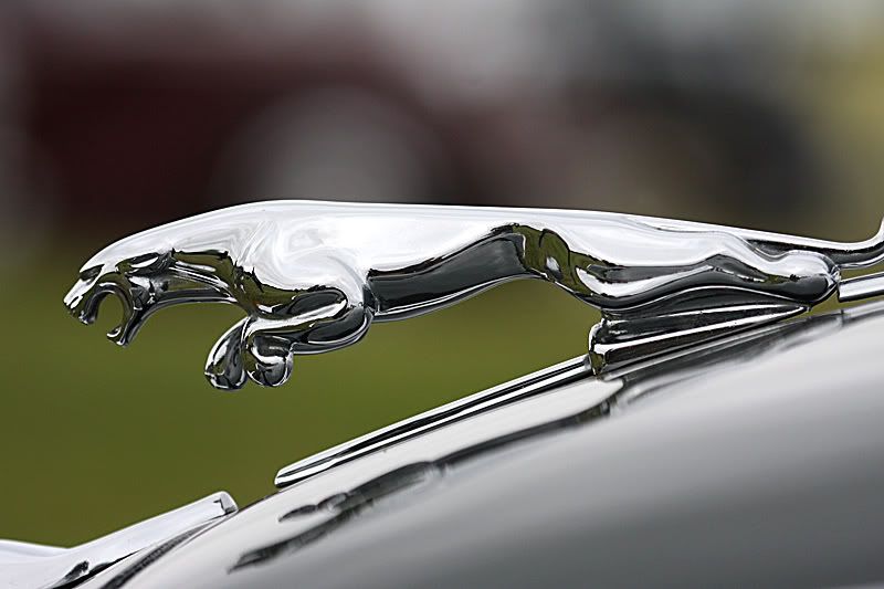 IMAGE: http://i91.photobucket.com/albums/k287/dinof/badge3.jpg