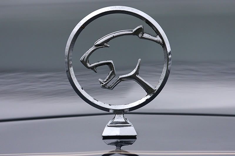 IMAGE: http://i91.photobucket.com/albums/k287/dinof/badge8.jpg