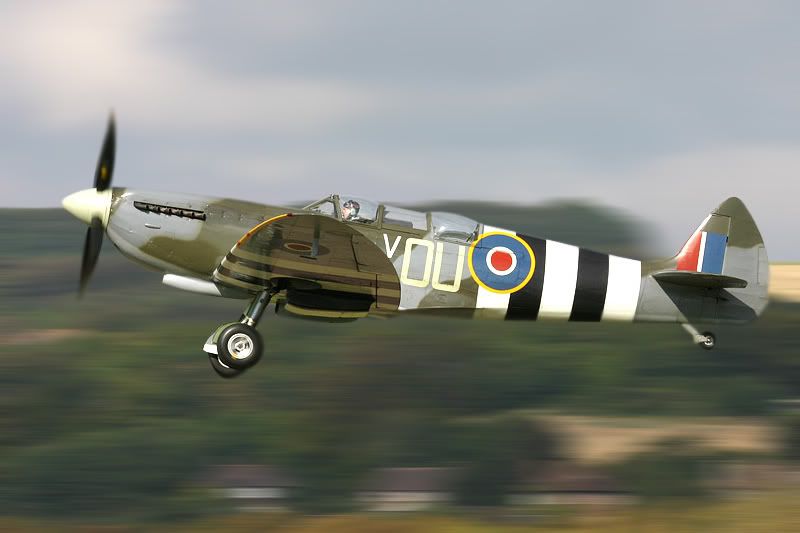 IMAGE: http://i91.photobucket.com/albums/k287/dinof/gracepan.jpg