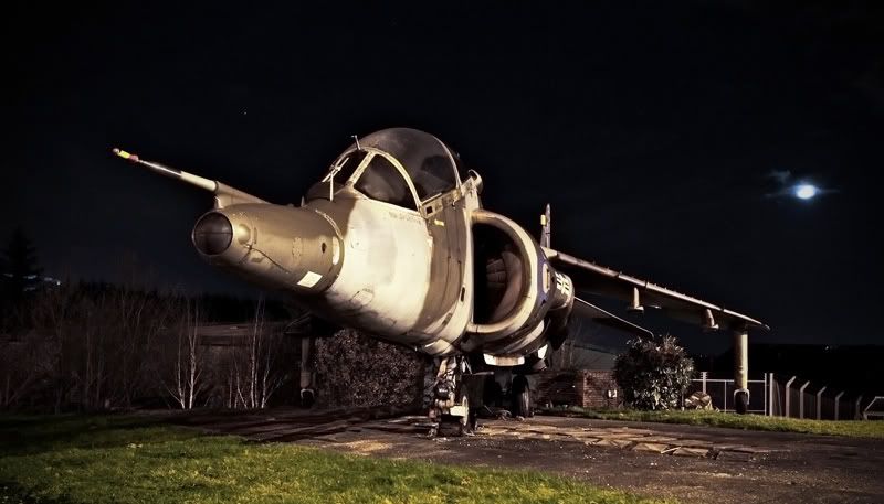 http://i91.photobucket.com/albums/k287/dinof/harrier2web.jpg