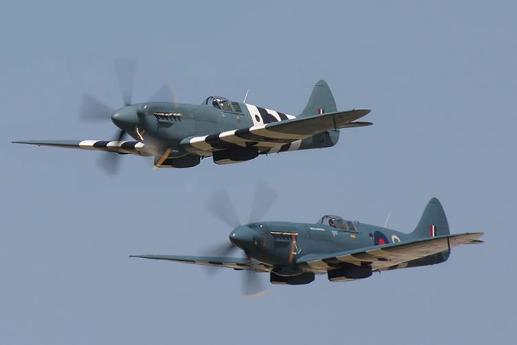 IMAGE: http://i91.photobucket.com/albums/k287/dinof/spit-1.jpg