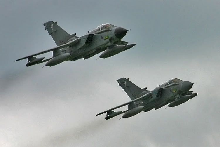 http://i91.photobucket.com/albums/k287/dinof/tornados.jpg