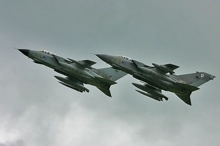 http://i91.photobucket.com/albums/k287/dinof/tornados2.jpg