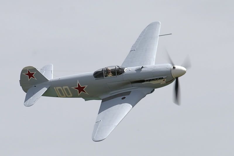 http://i91.photobucket.com/albums/k287/dinof/yak3b.jpg