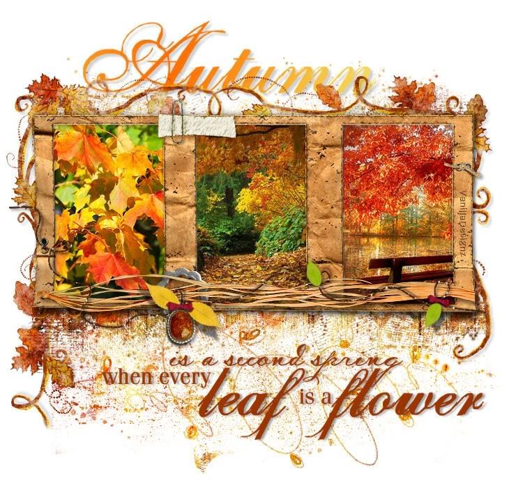 Otoo.jpg autumn image by kitkarma