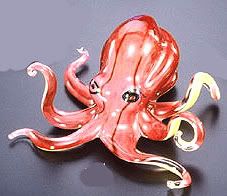 “Octopus