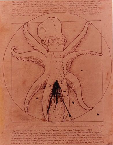 Octopus Vitrubio