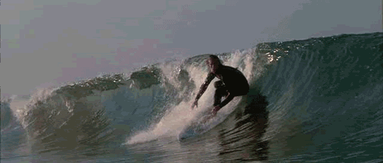 Feel the Wave