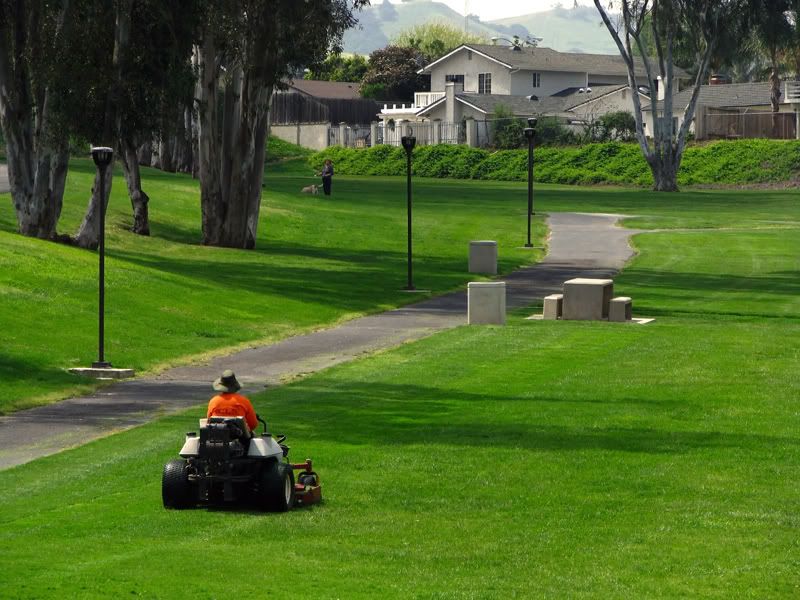 IMAGE: http://i91.photobucket.com/albums/k294/sfcnua/POTN/ParkGreen.jpg