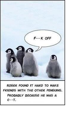 Msn Penguin