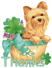 IrishYorkieSparkleThanks.gif