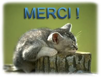 merci-2.jpg