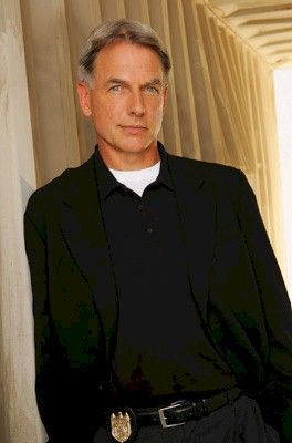 Leroy-Jethro-Gibbs-a.jpg