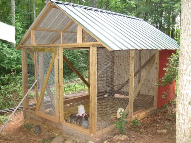 Pics Of Guinea Housing