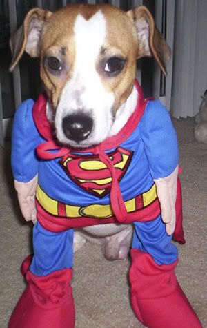 super doggy