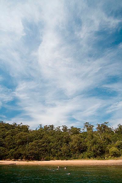 IMAGE: http://i91.photobucket.com/albums/k305/vertyverty/IMG_4372.jpg