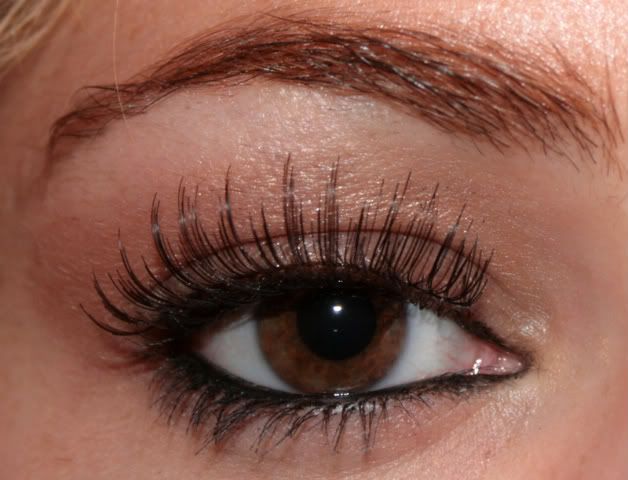 falsies3-1.jpg