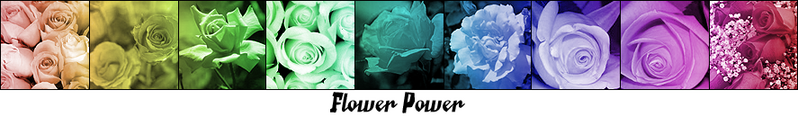 flowerpower.png