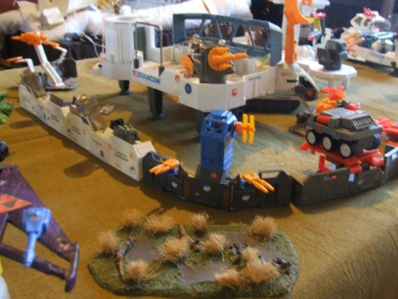 320310_10151254944416539_1279701199_n_zp