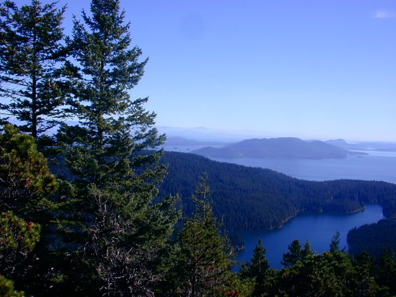 http://i91.photobucket.com/albums/k313/Stoat_2006/Mt.Constitution1.jpg