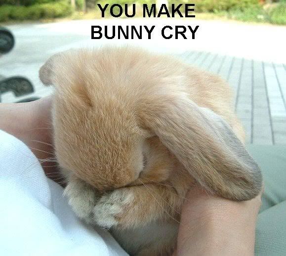 Bunnycry