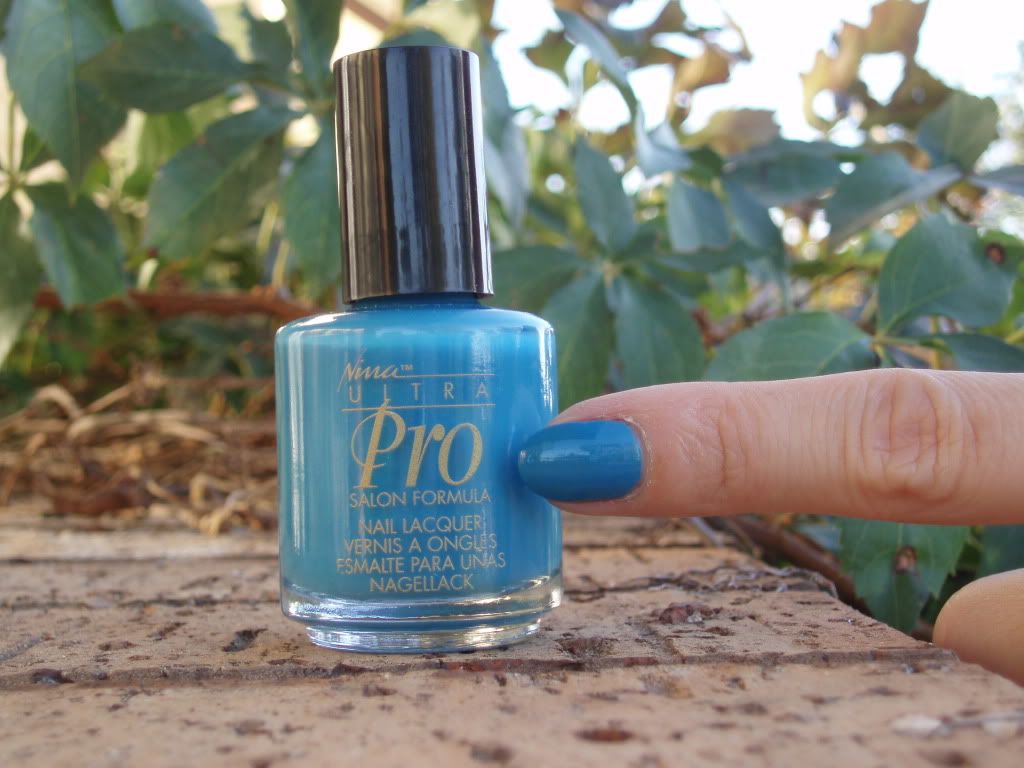 nina ultra pro top coat