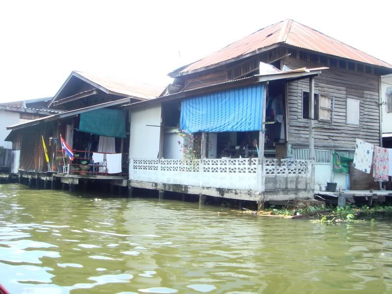 asia through boobs' pants