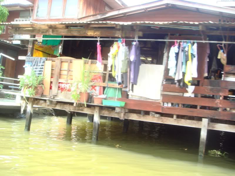 asia through boobs' pants