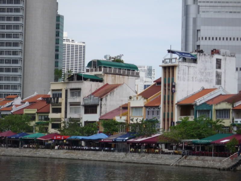 asia through boobs' pants