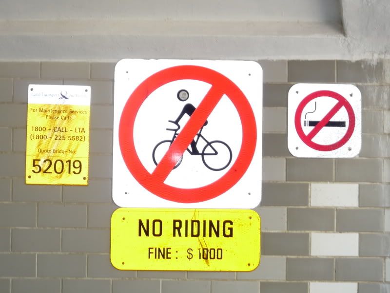 asia through boobs' pants