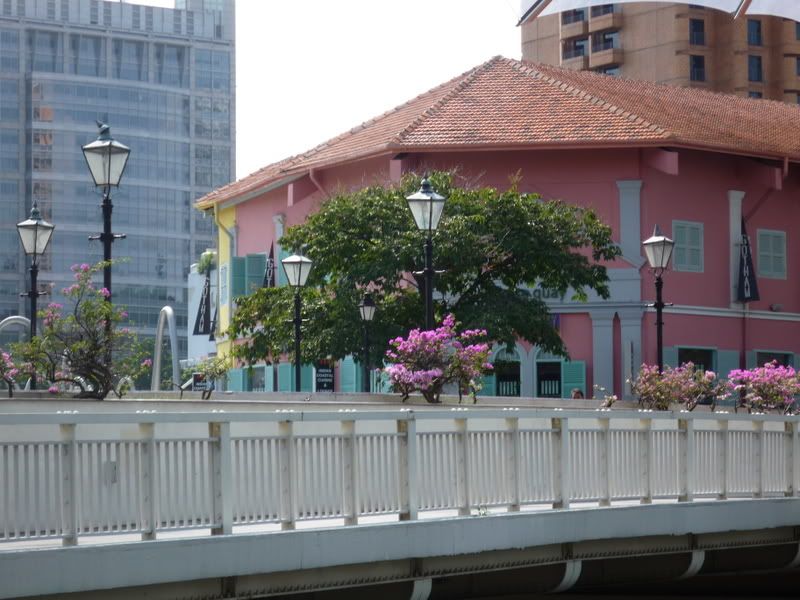 asia through boobs' pants