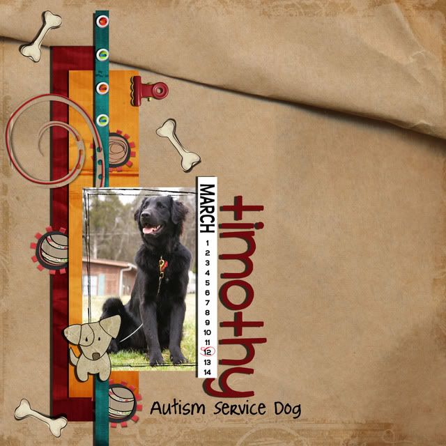 Timothy - Autism Service Dog