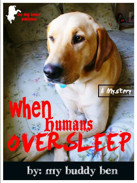 When Humans Oversleep - Book Cover