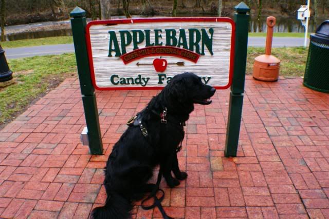 Tim in front of the Applebarn sign