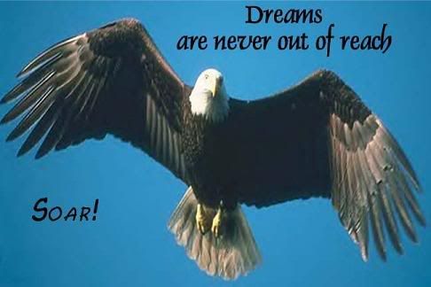 Soar.jpg Soar image by CherokeeSwan