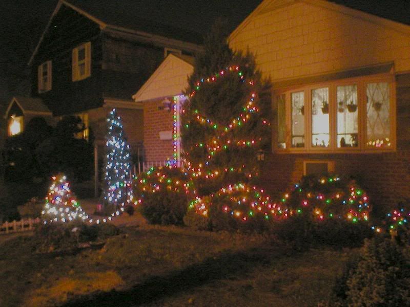 Christmas_Lights_2006_1.jpg