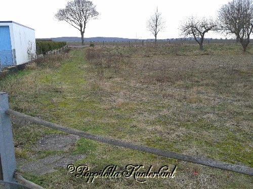  photo 20150116_145427.jpg