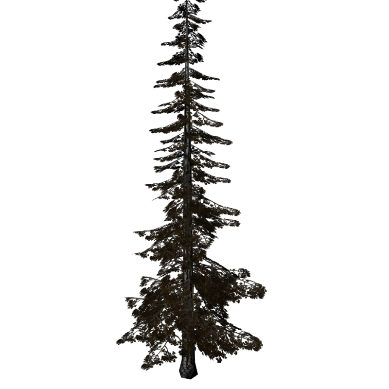 tree1.png