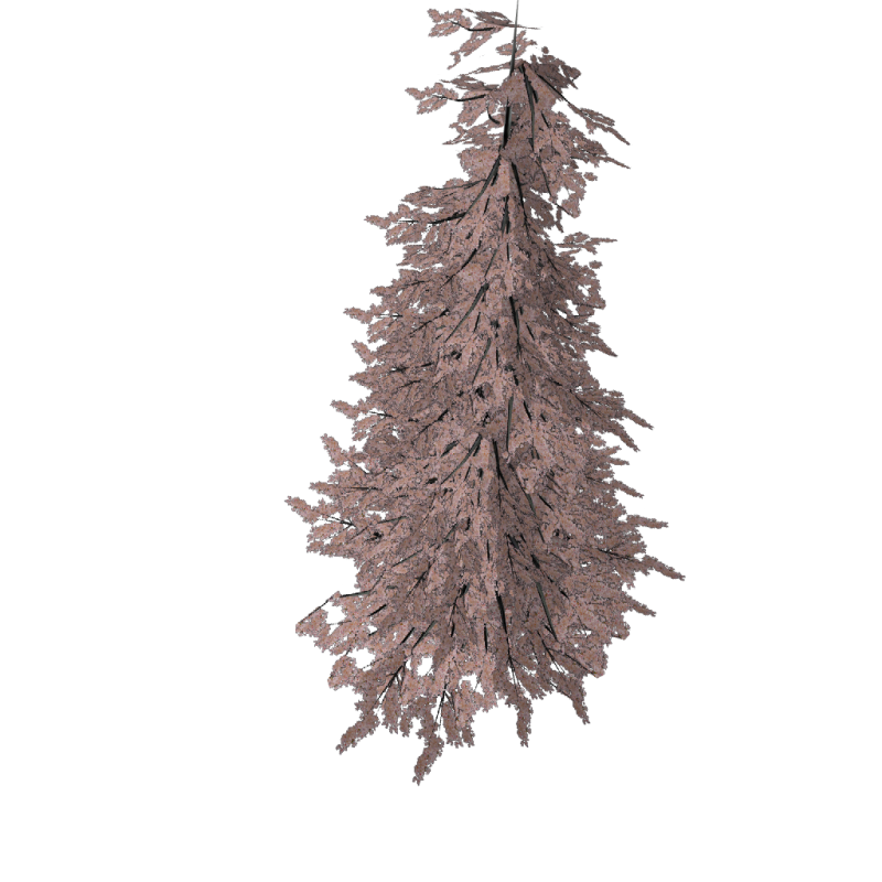 tree3.png